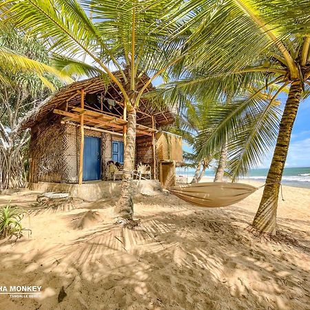 The Alpha Monkey Hotel & Tree House Tangalle Dış mekan fotoğraf