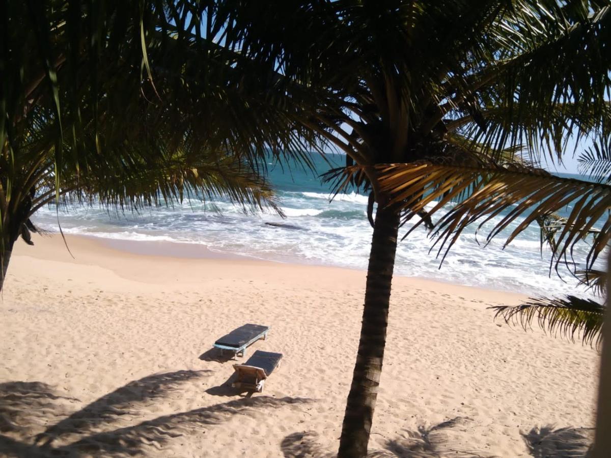 The Alpha Monkey Hotel & Tree House Tangalle Dış mekan fotoğraf