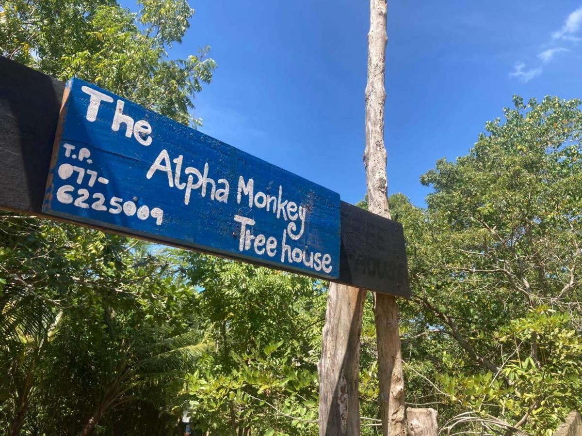 The Alpha Monkey Hotel & Tree House Tangalle Dış mekan fotoğraf