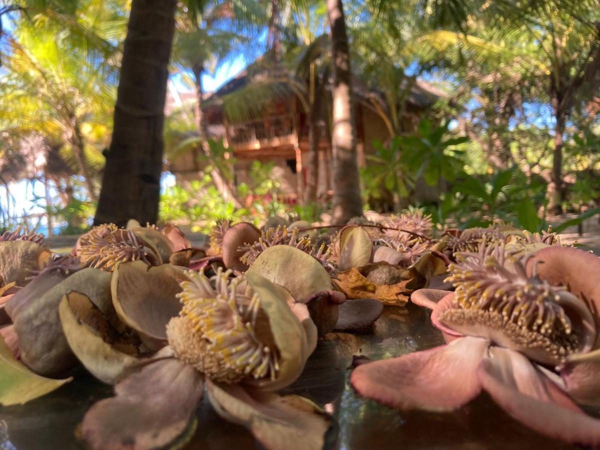 The Alpha Monkey Hotel & Tree House Tangalle Dış mekan fotoğraf