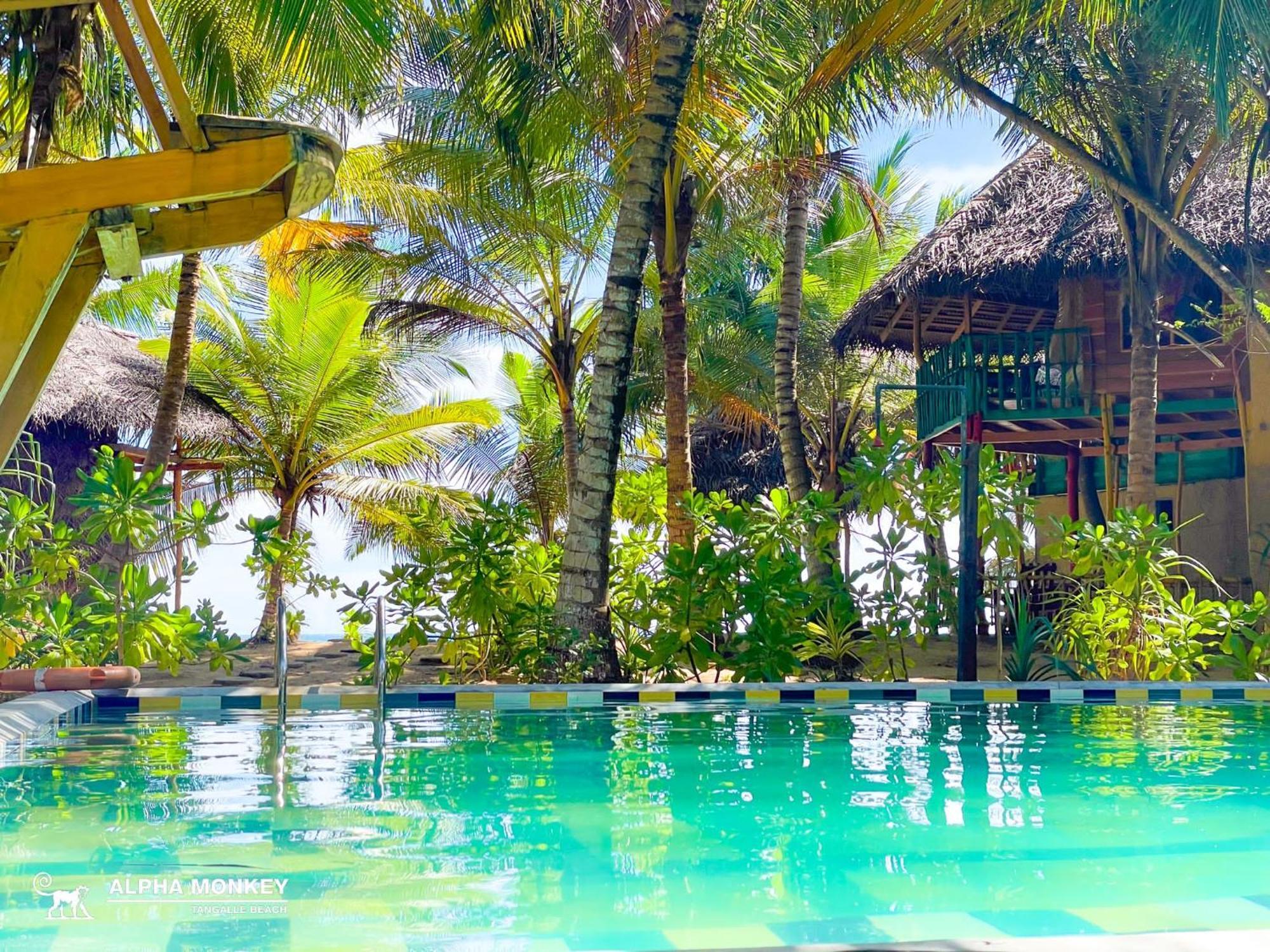 The Alpha Monkey Hotel & Tree House Tangalle Dış mekan fotoğraf